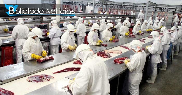Brasil en alerta tras confirmar más de 1.000 casos de Covid-19 en el frigorífico más grande del país.