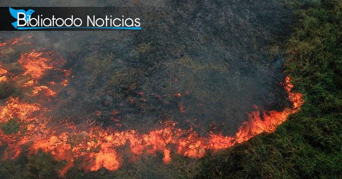 El Amazonas se encuentra en peligro tras informarse de nuevos incendios a gran escala