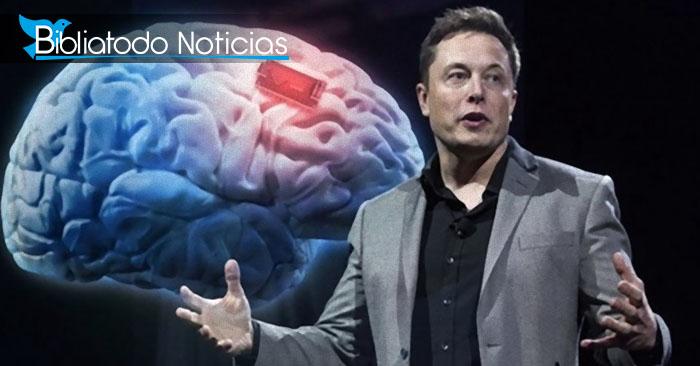 Pruebas de chips en el cerebro podrían comenzar este año, asegura multimillonario Elon Musk