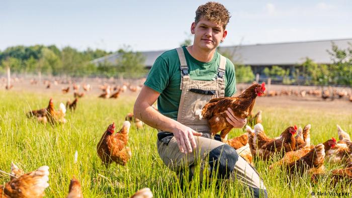 Alrik Visscher se arrodilla en la hierba rodeado de pollos